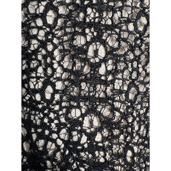 Alex Evenings Lace Shimmer Cap Sleeve Belted Peplum Top Size XL NWT - Picture 3 of 11